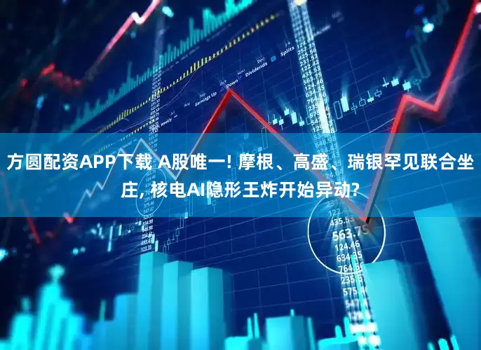 方圆配资APP下载 A股唯一! 摩根、高盛、瑞银罕见联合坐庄, 核电AI隐形王炸开始异动?