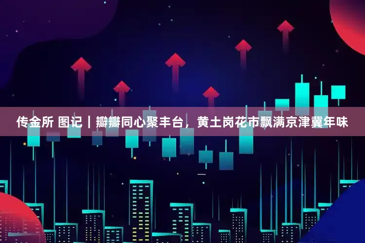 传金所 图记｜瓣瓣同心聚丰台，黄土岗花市飘满京津冀年味